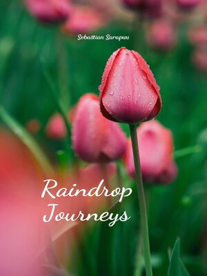 cover image of Raindrop Journeys